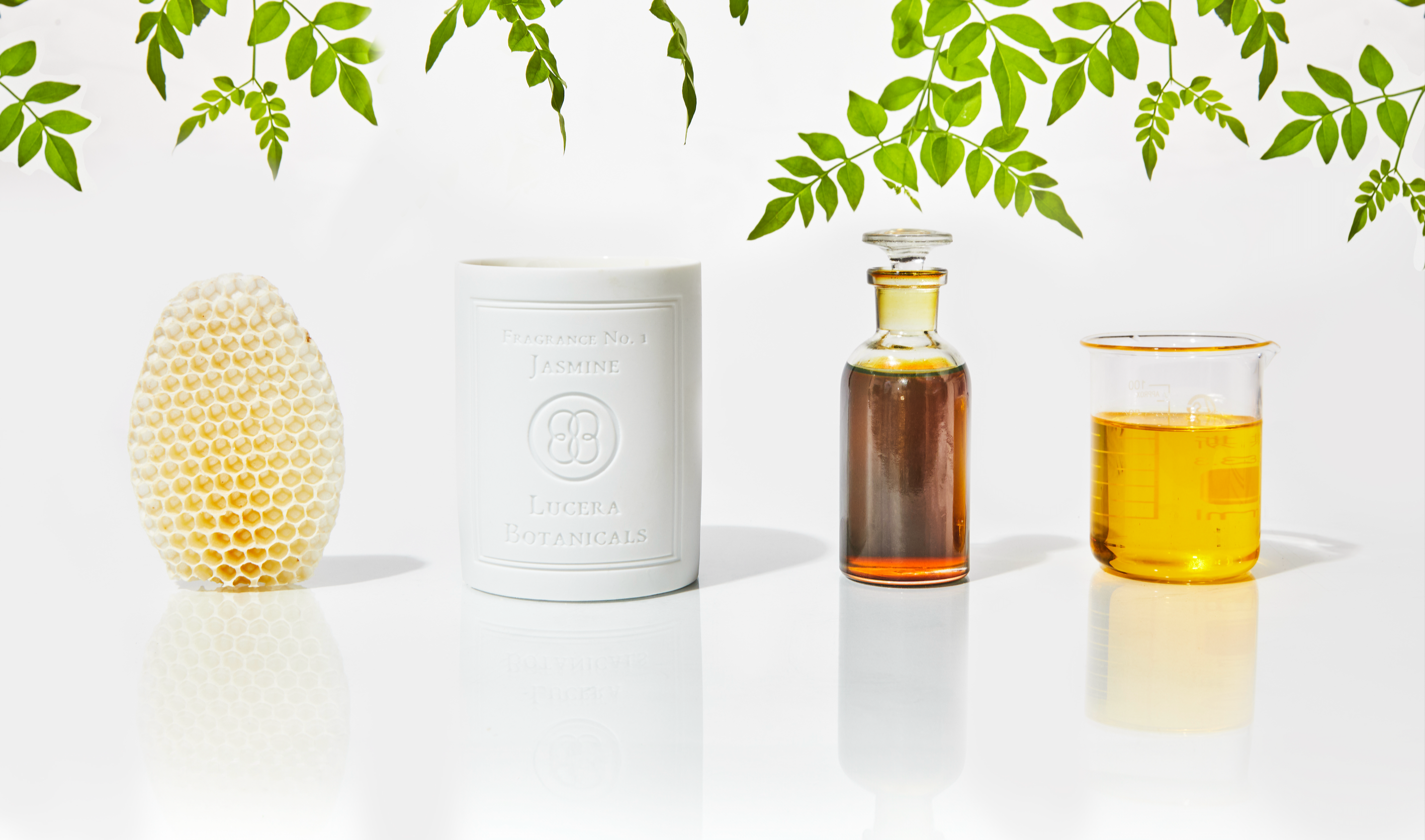 Lucera Botanicals 